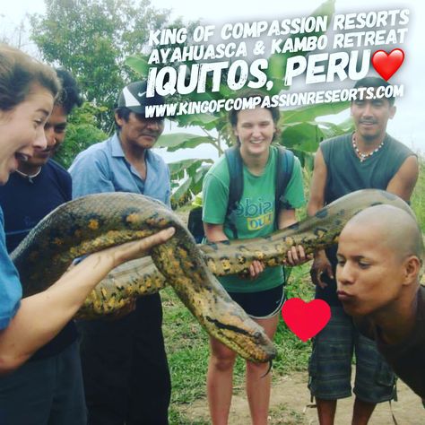 king of compassion resorts