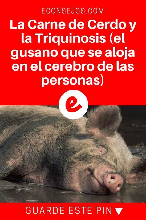 gusanos en la cabeza por comer cerdo y diabetes
