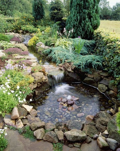 Les 95 meilleures images du tableau fontaine-biothope sur Pinterest | Art des jardins, Elfes et Idées de jardin