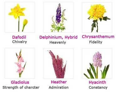 Flowers And Their Names With Pictures Loris Decoration This Photo Of Flowers And Their Diffe Meanings Reminds Me Ophelia When She Is Stating