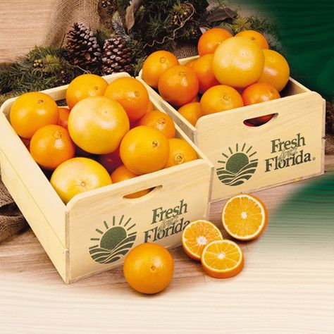 Florida Citrus Field Crate | Florida Vintage Orange Citrus Making Wooden