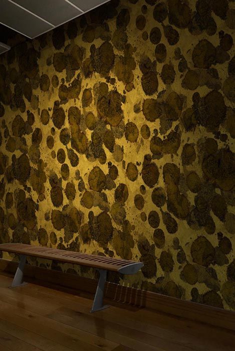 Custom Order Wallpaper Vinyl Old Painted Wood Texture Large Photo Painted Wood Texture Textured Walls Wall Murals