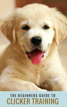 Dog Training Guide Make Use Of Your Dog S Name Whenever Possible