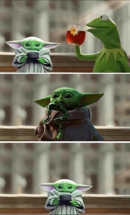 Pin By Cheryl Shock On Baby Yoda In 2020 Animals Birds Yoda