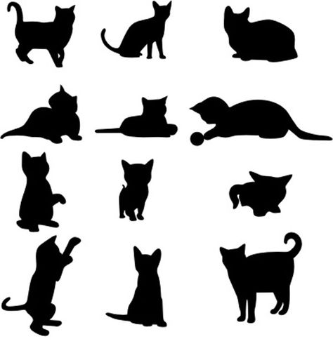 14 Idees De Chat Qui Dort Chat Chat Qui Dort Dessin Chat 14 Idees De Chat Qui Dort Chat Chat Qui Dort Dessin Chat
