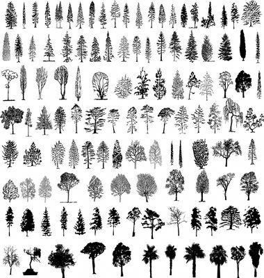 Baum Silhouetten Vektor Tree Silhouette Tree Tattoo Silhouette Vector