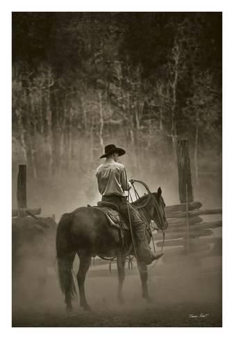 COWBOY ART PRINT Lost Canyon Roundup by Barry Hart 16x24 Cattle Farm Poster