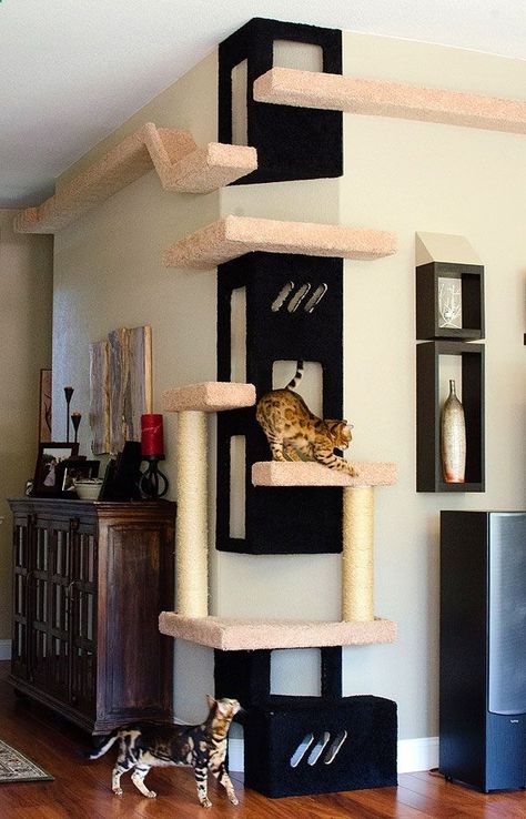 180 Cat Habitats Ideas In 2021 Cat Habitat Cat Furniture Cat Diy