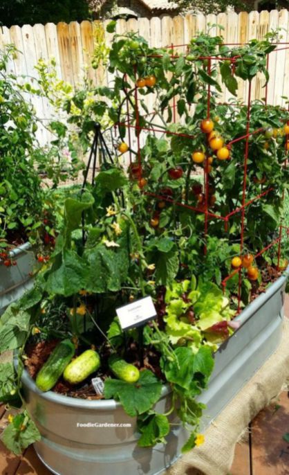 Planter Vegetable Garden On Backyard Small Kinbor Garden Bed Is Perfect For Growing Your Plants And Vegetables It Patios Balconies Or Backyard Gardening Wooden Planter