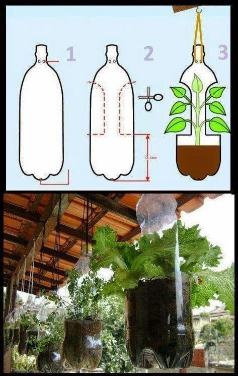 17 ide Menanam sayuran | menanam sayuran, menanam, ide berkebun