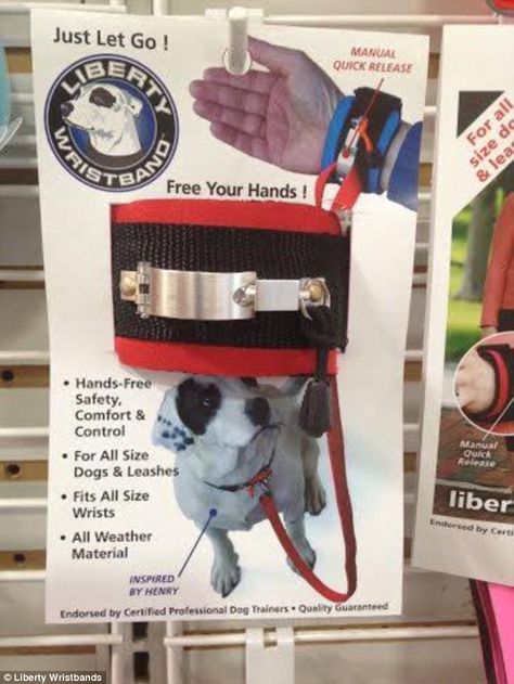 Pin By Zoey On Pets Hands Free Leash Psychiatric Service Dog