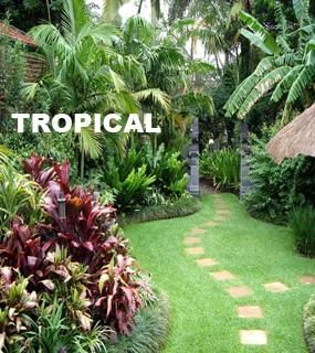 tropical garden design on landscaping tropical garden design type ideas landscape the cape landscaping pinterest tropical garden design - Front Garden Ideas Tropical tropical garden design on landscaping tropical garden design type ideas landscape the cape landscaping pinterest tropical garden design - Front Garden Ideas Tropical