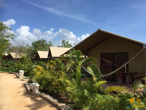 Glamping experience in Mexico | Glamping, Tent, Outdoor decor Glamping experience in Mexico | Glamping, Tent, Outdoor decor