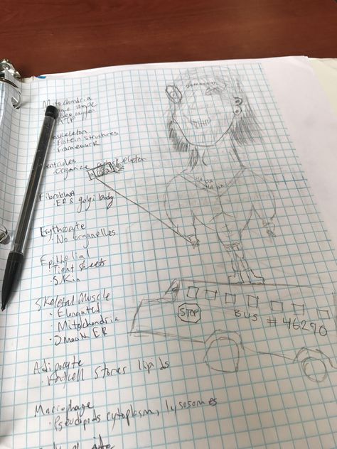 Self Portrait pencil on graph paper 8x11 in Art Pinterest - ms word graph paper Self Portrait pencil on graph paper 8x11 in Art Pinterest - ms word graph paper