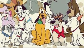 101 Dalmatians Dog Names And Others From Disney Pet Training