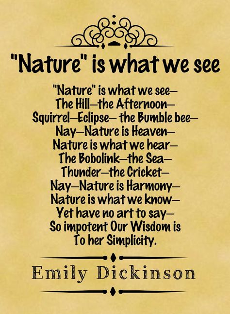 The Wisdom of Emily Dickinson Poster Photo Art Print Gift Motivation