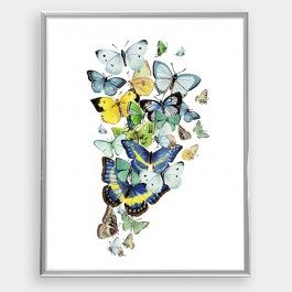 Design: Schmetterling Blau Bestickt zum Aufb/ügeln oder Aufn/ähen ZEGIN Aufn/äher