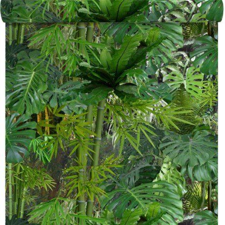 Télécharger gratuitement Images Papier Peint Papier Mur Vegetal Vert Papier Peint Patio Tropical le plus cool salutations