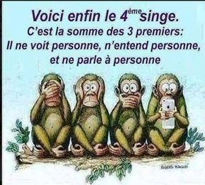 Le Quatrieme Singe Singes Droles Image Drole Insolite Images Droles Le Quatrieme Singe Singes Droles Image Drole Insolite Images Droles