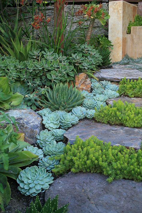Die besten 25+ Steingarten anlegen Ideen auf Pinterest - steingarten mit springbrunnen Die besten 25+ Steingarten anlegen Ideen auf Pinterest - steingarten mit springbrunnen