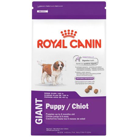 Pets Dry Dog Food Dog Food Recipes Dogs Puppies