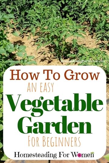 Organic Gardening In Pots Backyard Organic Gardening Youtube