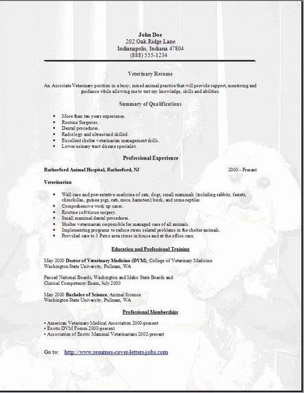 CBSE Sample Papers for Class 12 Accountancy Solved 2016 Set 1-25 - veterinarian sample resume CBSE Sample Papers for Class 12 Accountancy Solved 2016 Set 1-25 - veterinarian sample resume