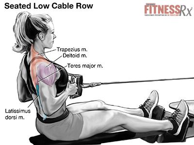 back muscle in gym lingo back muscle in gym lingo
