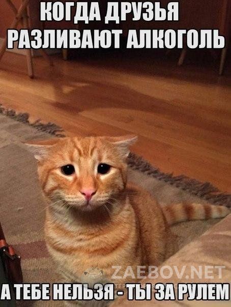 Твое Прикольное Фото Твое Прикольное Фото
