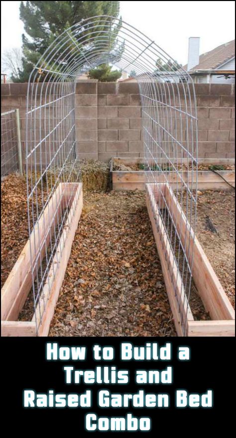 how to make a trellis for cucumbers best 25 pea trellis ideas on pinterest squash varieties bamboo how to make a trellis for cucumbers best 25 pea trellis ideas on pinterest squash varieties bamboo