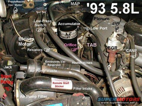 Image result for 351w 5.8l | Air pump, Emissions, Bronco