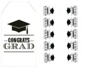 Congrats Grad Gift Tags, Graduation Gift, Bag Tags, Graduation