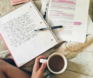 Holt math homework help Holt math homework help