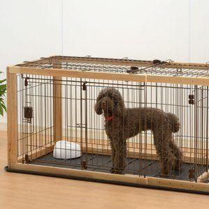 House Ideas おしゃれまとめの人気アイデア Pinterest Meity Sulistio 犬ケージ ペットサークル ペット用品 House Ideas おしゃれまとめの人気アイデア Pinterest Meity Sulistio 犬ケージ ペットサークル ペット用品