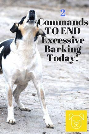 The Easiest Way To Put An End To Excessive Barking Today