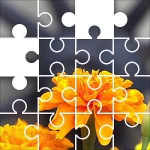 free online jigsaw puzzles f free online jigsaw puzzles f