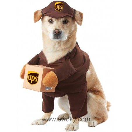 Disfraces De Sombrero Elegante Para Perros Y Mascotas Disfraces De Sombrero Elegante Para Perros Y Mascotas