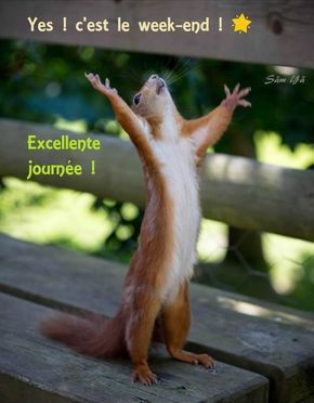 Avoir Images Yes C Est Le Week End Excellente Journee Bonweekend Cest Le actualisé salutations