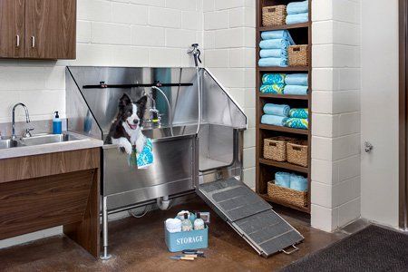 A Well Thought Out Garage Complete With Gardening Storage And A Dog Grooming Area Dog Grooming Salons Pet Grooming Tub Home