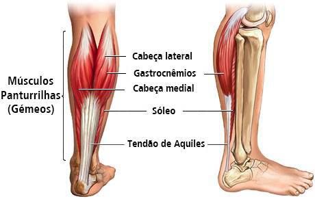 Da panturrilha músculo como massagear tenso um