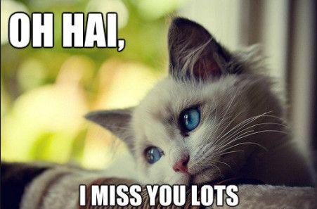 35 Funny I Miss You Memes Ideas Missing You Memes Funny Me Funny Memes Sarcastic 35 Funny I Miss You Memes Ideas Missing You Memes Funny Me Funny Memes Sarcastic