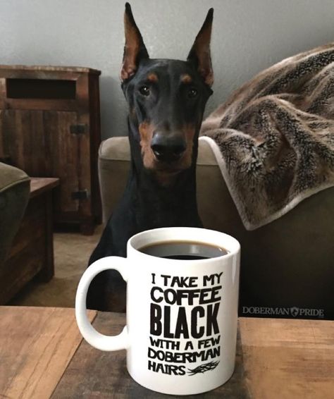21 Dobermans And Coffee Ideas Mugs Doberman Coffee