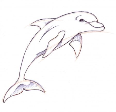 dolphin clipart tattooed in