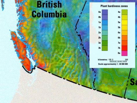 Find Your Planting Zone Plant Hardiness Depends On This Plant