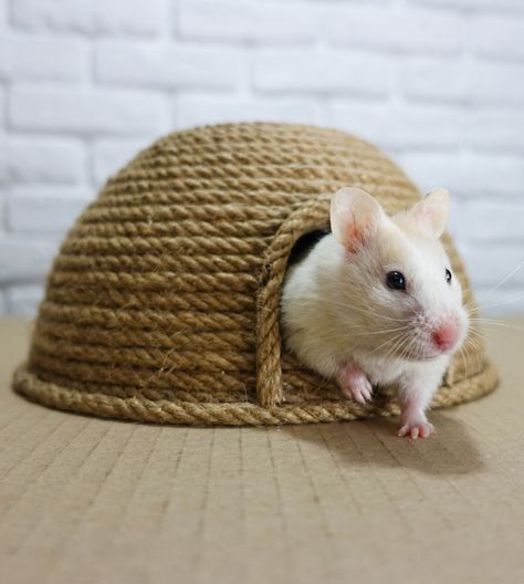 Trixie Plana de Madera Tortuga Conejo Cobaya Hámster Mascota Hideaway Casa