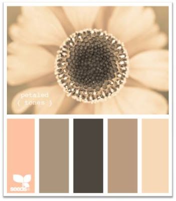 Designseeds Design Seeds Cveta Dlya Komnat Dizajn Semena Sochetanie Cvetov