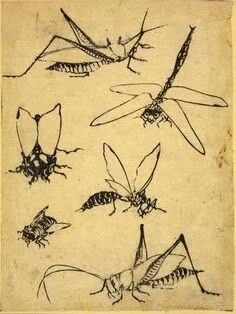 wasps Japanese Print Reproductions: Frogs snail dragonflies: Fine Art Print