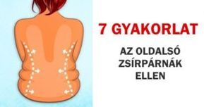optimális makroarány a zsírvesztéshez