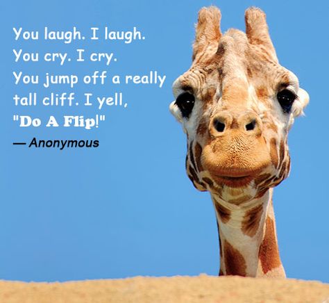 Funny Quotes About Friends Packed With A Whole Lot Of Laughs Funny Quotes About Friends Packed With A Whole Lot Of Laughs