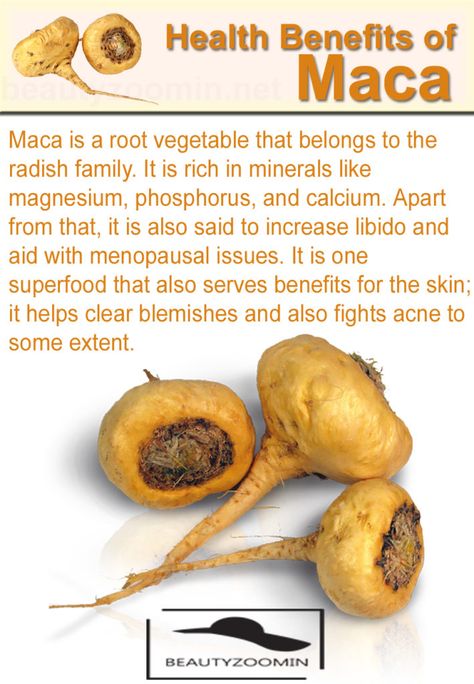 heartworm medicine maca